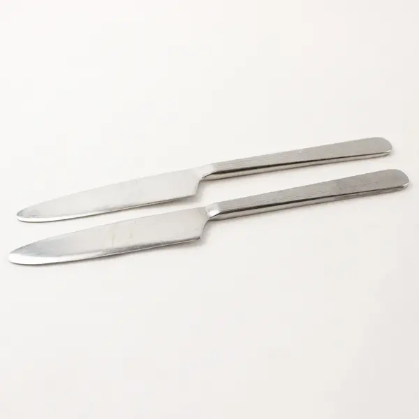 Lot of 2 Retroneu Foliage Stainless Steel 9" Dinner Knives