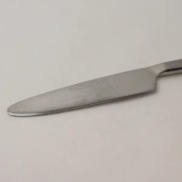 Lot of 2 Retroneu Foliage Stainless Steel 9" Dinner Knives