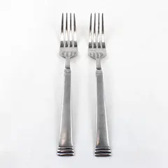 Lot of 2 Pfaltzgraff Parker Frost Stainless Steel 8" Dinner Forks