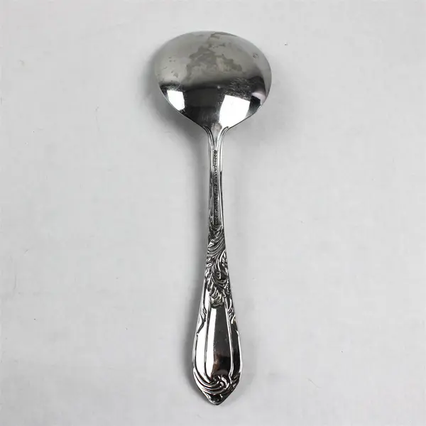 Reed & Barton Monique Stainless Serving Spoon 9.5in