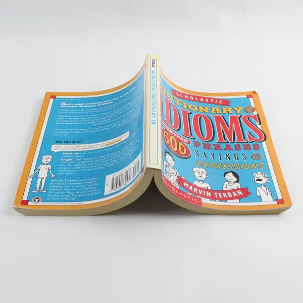 Scholastic Dictionary Of Idioms by Marvin Terban 1998 Paperback Good
