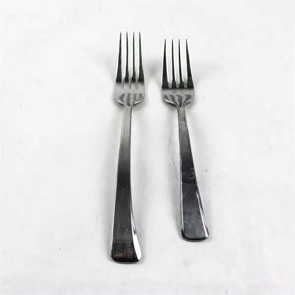 Lot of 2 Reed & Barton New Attitude Stainless Steel Dinner Fork and Salad Fork