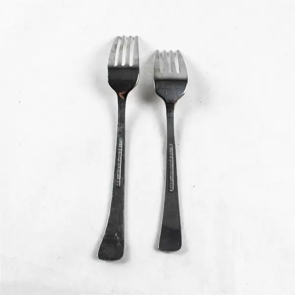 Lot of 2 Reed & Barton New Attitude Stainless Steel Dinner Fork and Salad Fork