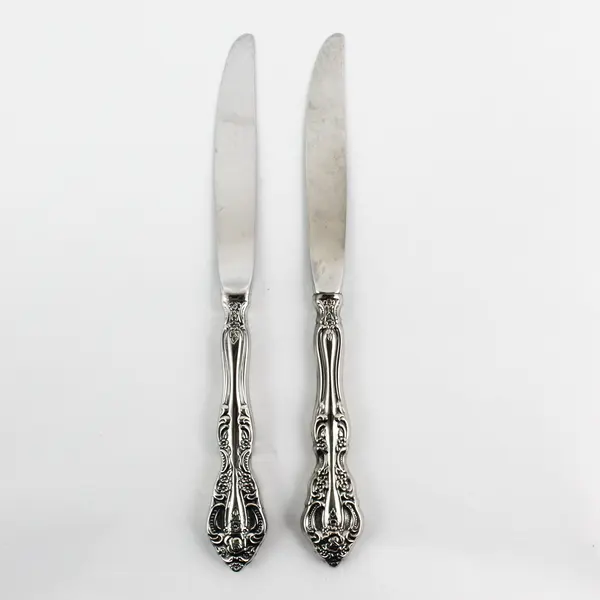 Lot of 2 Oneida Silver Michelangelo Pattern Stainless Hollow Dinner Knives 9" 