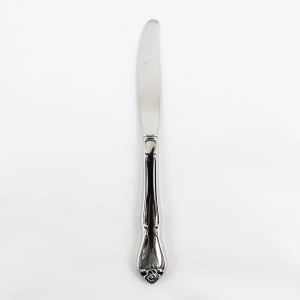 Oneida Silver Arbor Rose-True Rose Pattern Stainless Steel Solid Dinner Knife