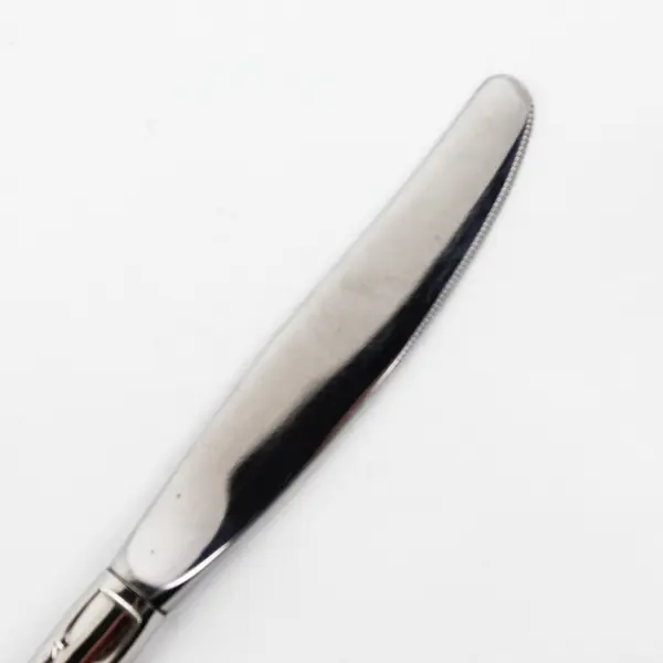 Oneida Silver Arbor Rose-True Rose Pattern Stainless Steel Solid Dinner Knife