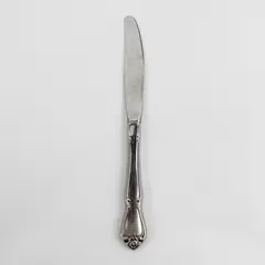 Oneida Silver Arbor Rose-True Rose Pattern Stainless Steel Solid Dinner Knife