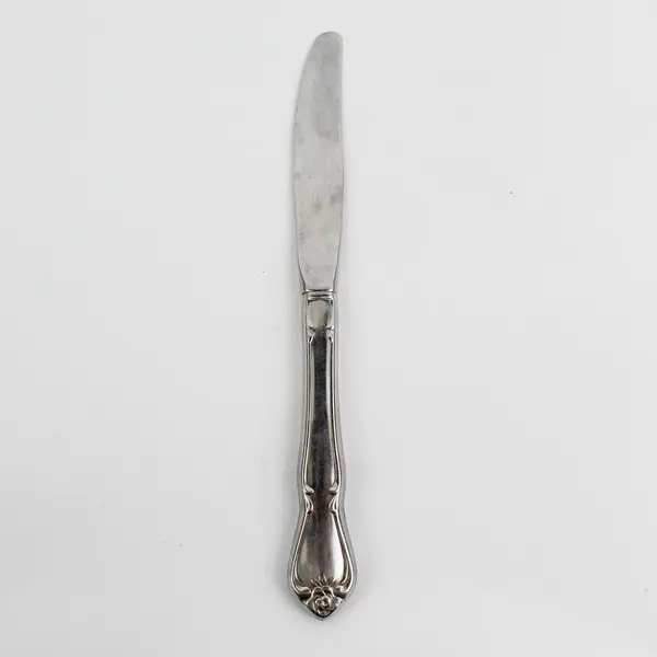 Oneida Silver Arbor Rose-True Rose Pattern Stainless Steel Solid Dinner Knife