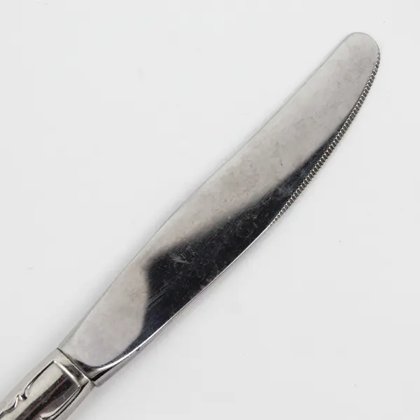 Oneida Silver Arbor Rose-True Rose Pattern Stainless Steel Solid Dinner Knife