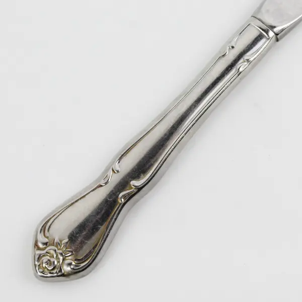 Oneida Silver Arbor Rose-True Rose Pattern Stainless Steel Solid Dinner Knife