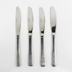 Lot of 4 Cambridge Silver Madison Pattern SS Dinner Knives 8.75" Long 4.5" HDL