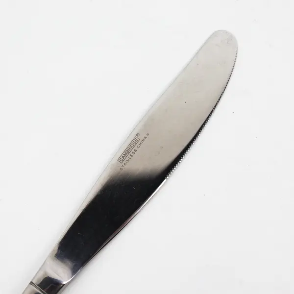Lot of 4 Cambridge Silver Madison Pattern SS Dinner Knives 8.75" Long 4.5" HDL