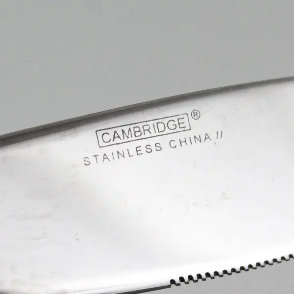 Lot of 4 Cambridge Silver Madison Pattern SS Dinner Knives 8.75" Long 4.5" HDL
