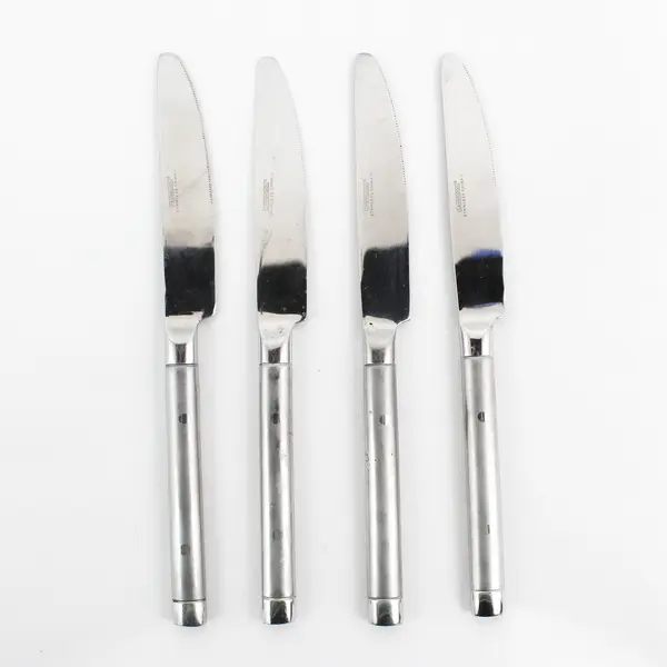 Lot of 4 Cambridge Silver Tripoli II-Sand Pattern 18/0 SS Dinner Knives 9.5"