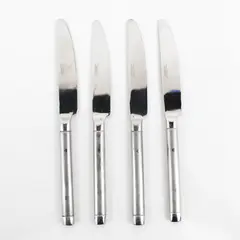 Lot of 4 Cambridge Silver Tripoli II-Sand Pattern 18/0 SS Dinner Knives 9.5"