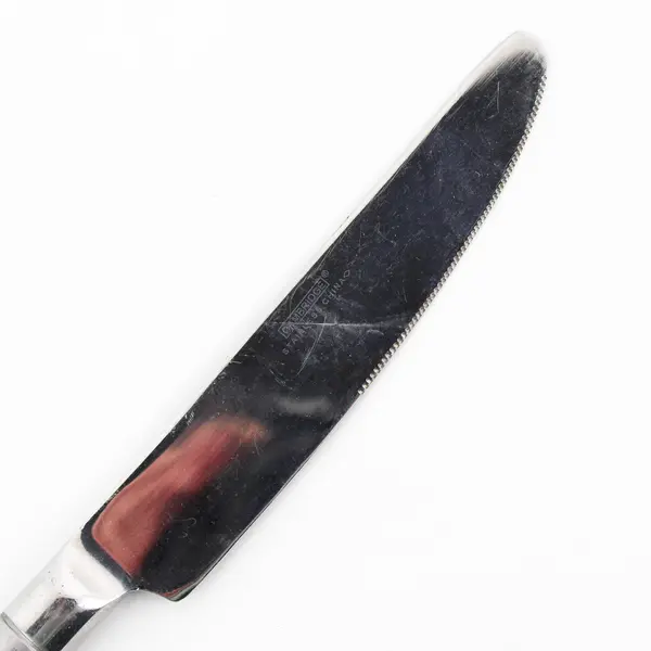 Lot of 4 Cambridge Silver Tripoli II-Sand Pattern 18/0 SS Dinner Knives 9.5"