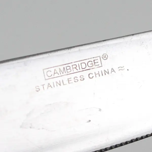 Lot of 8 Cambridge Silver Tripoli II-Sand Pattern 18/0 SS Dinner Knives 9.5"