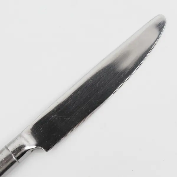 Lot of 10 Cambridge Silver Tripoli II-Sand Pattern 18/0 SS Dinner Knives 9.5"