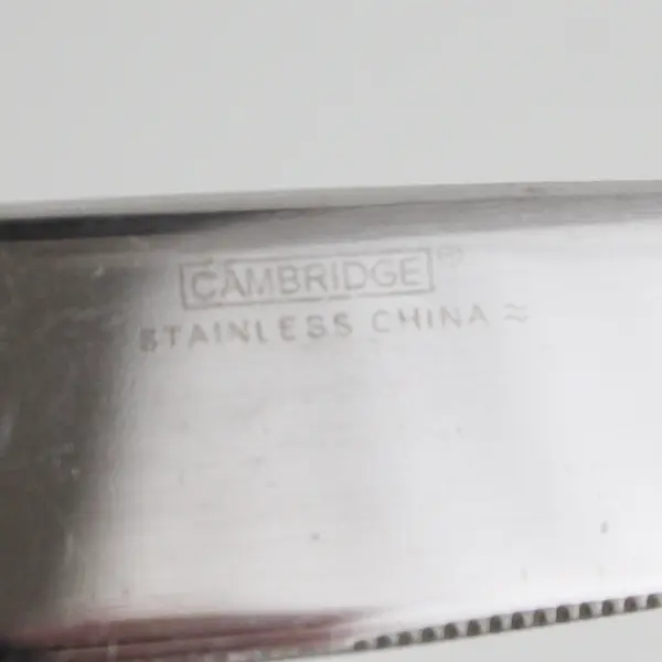 Lot of 10 Cambridge Silver Tripoli II-Sand Pattern 18/0 SS Dinner Knives 9.5"