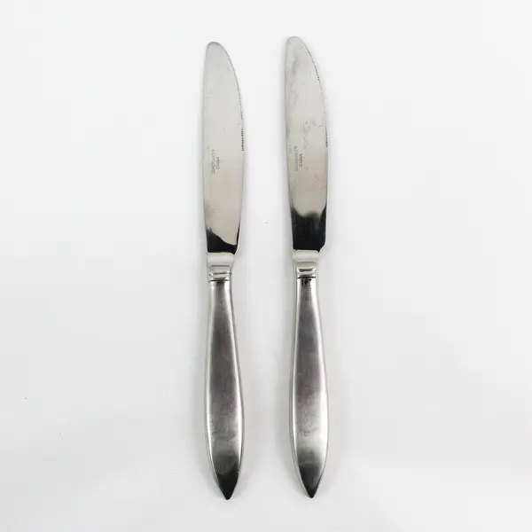 2 Cuisinart Flatware CUI22 Pattern 18/10 SS Dinner Knives 9.25" Rare HTF Pattern