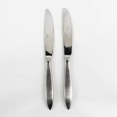 2 Cuisinart Flatware CUI22 Pattern 18/10 SS Dinner Knives 9.25" Rare HTF Pattern