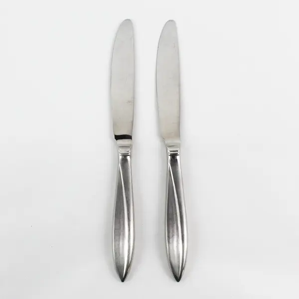 2 Cuisinart Flatware CUI22 Pattern 18/10 SS Dinner Knives 9.25" Rare HTF Pattern