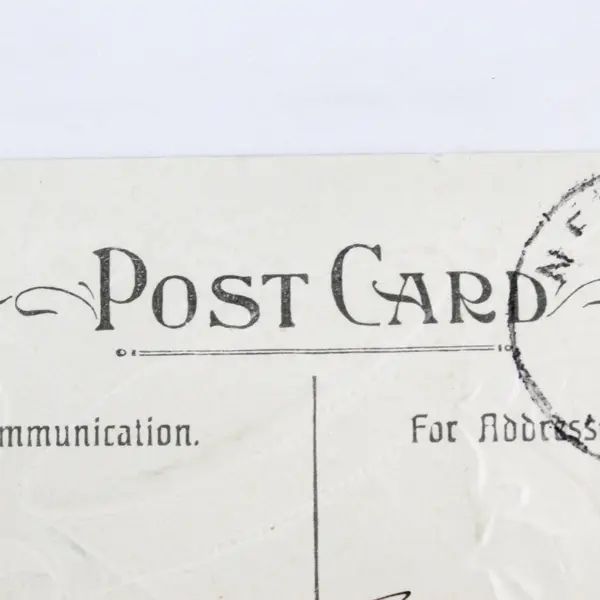 Vintage 1910 Christmas Greetings Bells Birds Embossed Postcard