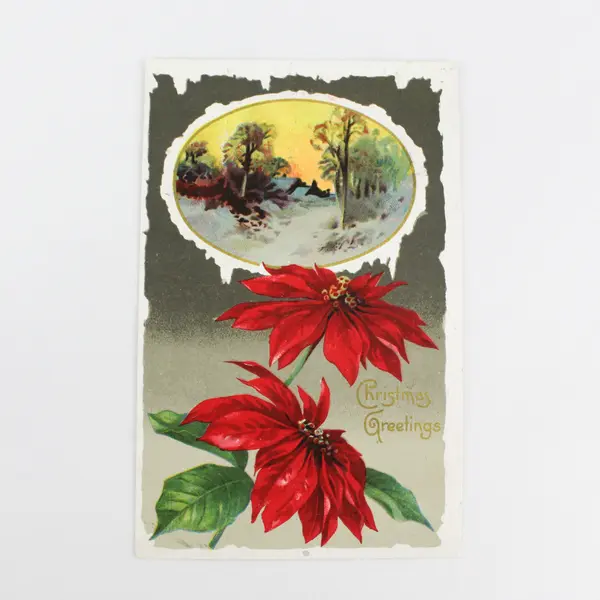 Vintage 1910 Christmas Greetings Poinsettias Embossed Postcard