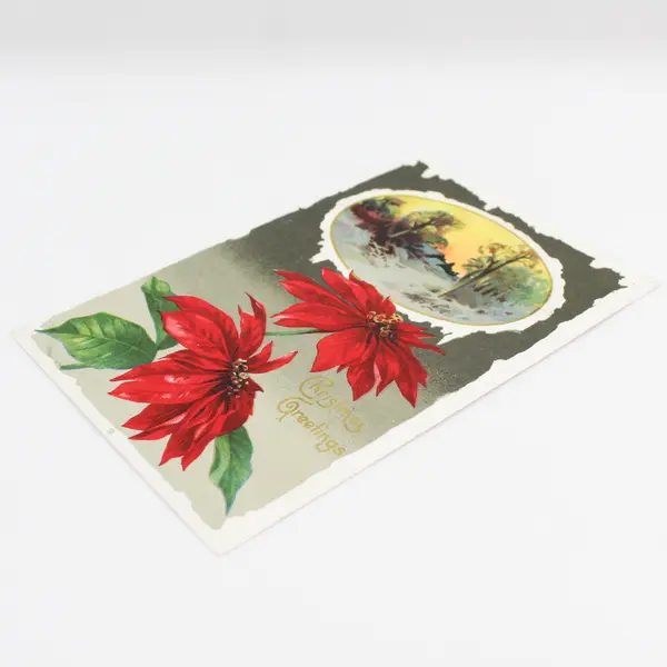 Vintage 1910 Christmas Greetings Poinsettias Embossed Postcard
