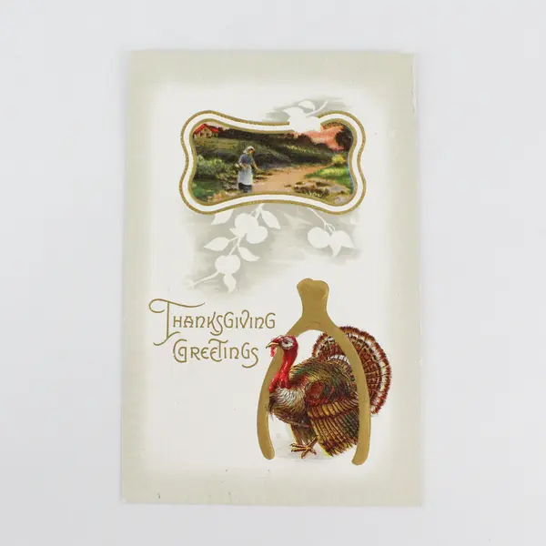 Vintage 1910 Thanksgiving Greetings Wishbone Turkey Embossed Postcard