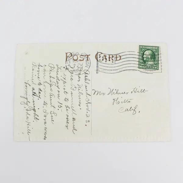 Vintage 1910 Thanksgiving Greetings Wishbone Turkey Embossed Postcard