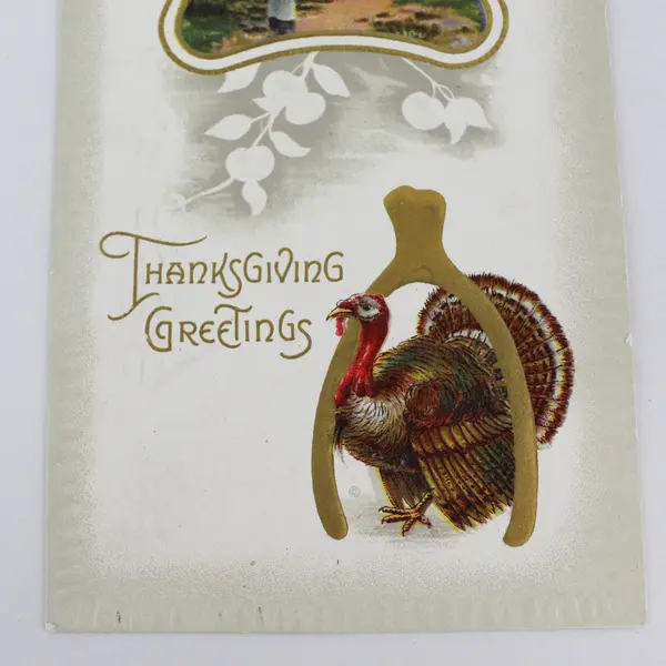 Vintage 1910 Thanksgiving Greetings Wishbone Turkey Embossed Postcard