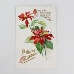 1911 A Merry Christmas Poinsettia Embossed Postcard Tuck & Sons