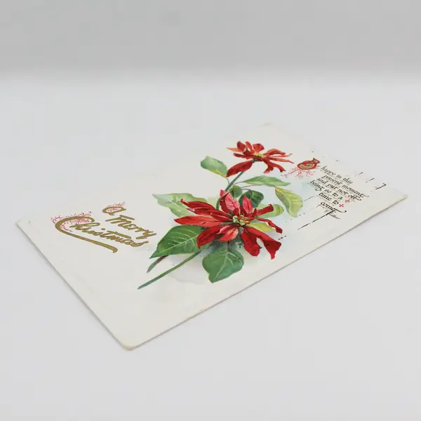 1911 A Merry Christmas Poinsettia Embossed Postcard Tuck & Sons