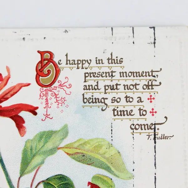 1911 A Merry Christmas Poinsettia Embossed Postcard Tuck & Sons
