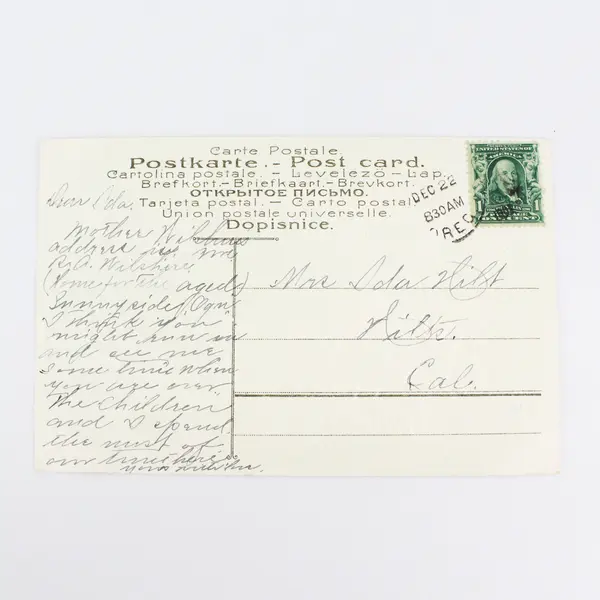 Vintage 1910s Fruit Flowers Greeting Card Postcard Ashland Oregon