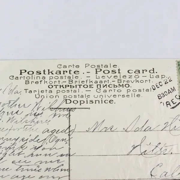 Vintage 1910s Fruit Flowers Greeting Card Postcard Ashland Oregon