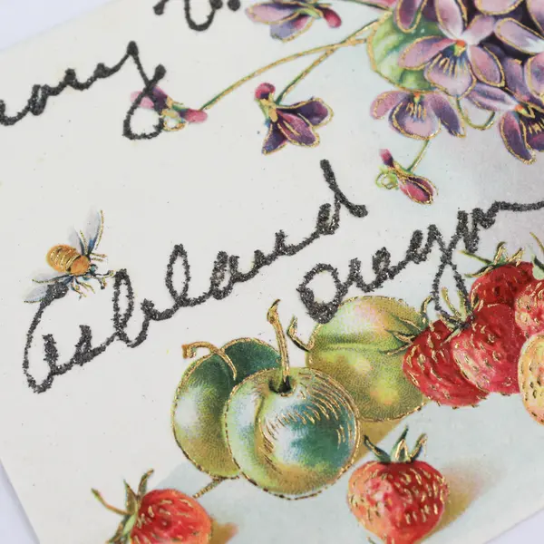 Vintage 1910s Fruit Flowers Greeting Card Postcard Ashland Oregon