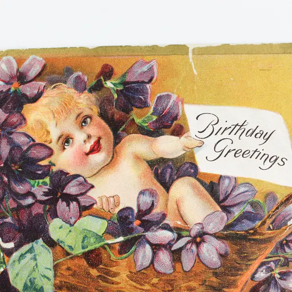 Vintage 1911 Birthday Greeting Baby In Basket Of Violets Postcard Copp E Nash