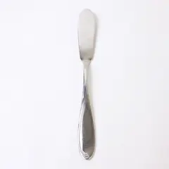 Oneida Silver Camber Cresta Windswept Scroll Pattern SS Butter Knife 6.5" Good