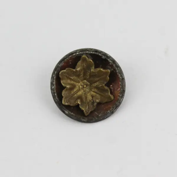 Antique Victorian Mixed Metal Floral Picture Button 3/4"