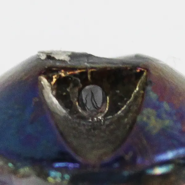 Antique Victorian Black Glass Carnival Luster Floral Design Shank Button 5/8"