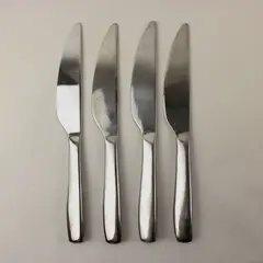 Lot of Four Veil Dinner Knives by Gourmet Settings