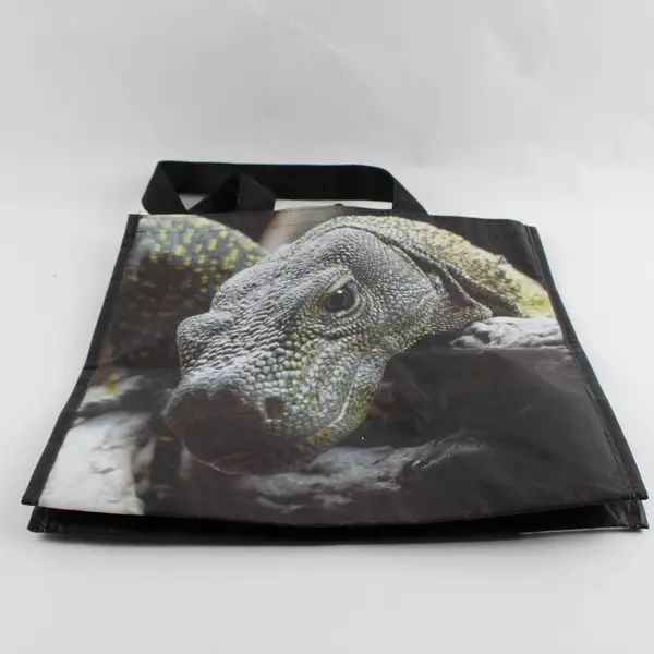 Komodo Dragon Tote Bag Reusable Recyclable Tote Bag Choose to Reuse
