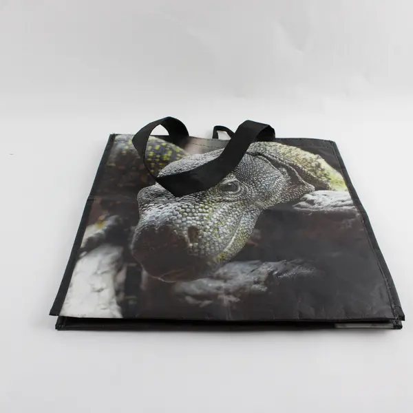Komodo Dragon Tote Bag Reusable Recyclable Tote Bag Choose to Reuse