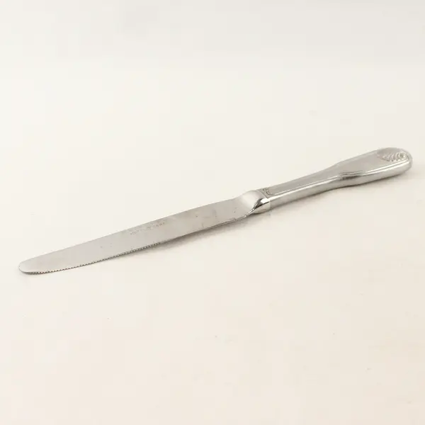 Retroneu Coventry Shell Stainless Steel Dinner Knife 9.5"