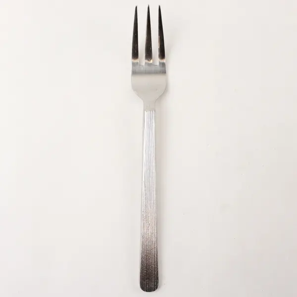 Retroneu Foliage Stainless Steel Salad Fork 7.5in