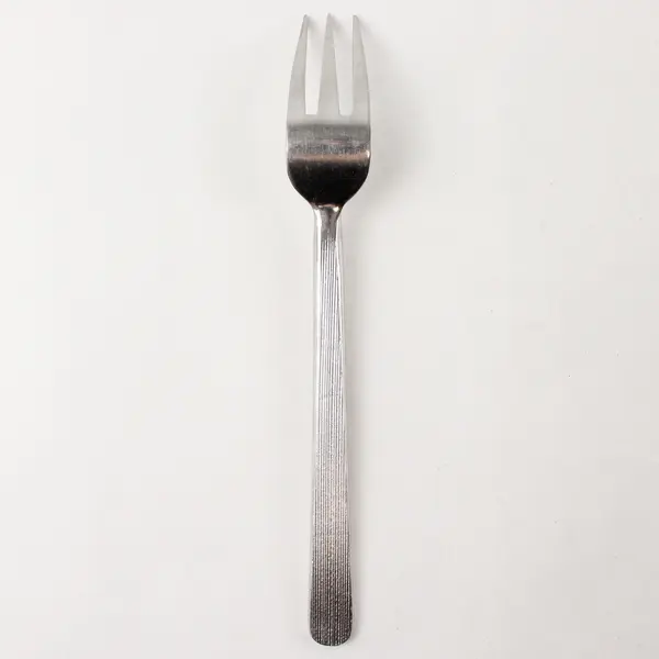 Retroneu Foliage Stainless Steel Salad Fork 7.5in