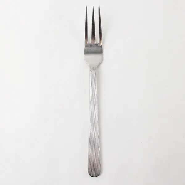 Retroneu Foliage Stainless Steel Dinner Fork 8.5"