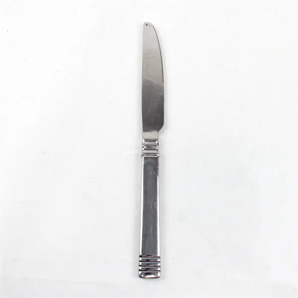 Pfaltzgraff Nuance 9" Stainless Steel Dinner Knife